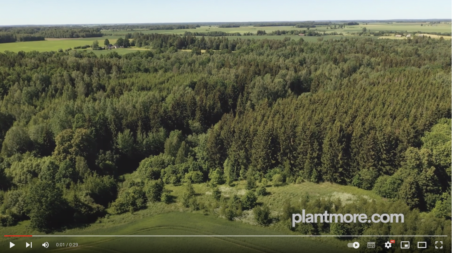 Plantera träd idag -Plantera träd i EU - Plantmore.com